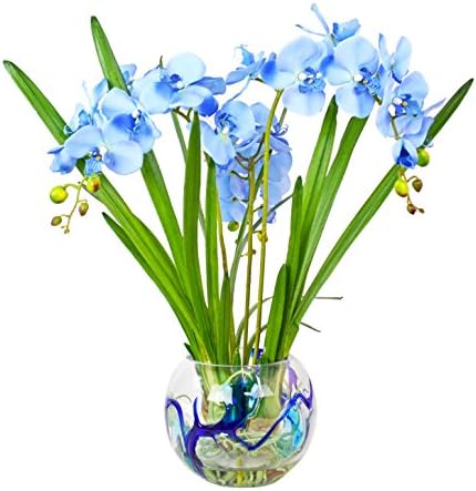 Blue Cybidium Orchid with Orchid Leaves In Multi-Color Round Glass Vase