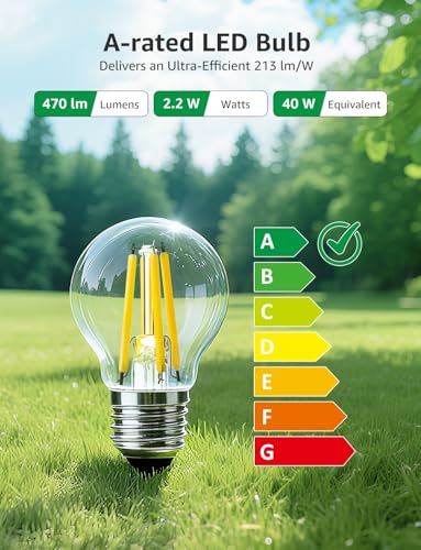 Lepro E27 Golf Ball Bulb, A-Rated Ultra-efficient LED Bulb, 2.2W = 40W, 470lm, Warm White 2700K, 50000H Lifespan, Edison Screw ES, Clear Filament, Non-dimmable, Pack of 2