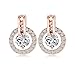 NYKKOLA 18k Rose Gold Plated Circle Halo Stud Earring with Crystal Valentine's Jewelry Gift