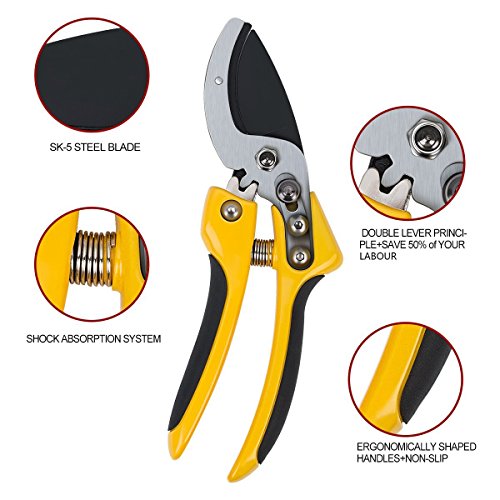 Anvil Pruning Shears 2018 Upgraded 8 inch Professional SK-5 Steel Blade Sharp Gardening Scissors Flower Hand Pruners Garden Clippers,Reduce Hand Fatigue