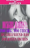 Dickgirl Diaries 1: Too Big, Too Thick - My Girlfriend Has Fourteen Inches (Futa on Female) (Transgender Erotic Romance) (Hardcore Extreme Erotica)