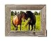 BarnwoodUSA Rustic 5 by 7 Inch Picture Frame with 1.25 Inch Wide Molding - 100% Reclaimed Wood, Weathered Gray