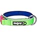 Blueberry Pet 4 Colors Soft & Comfy Summer Hope 3M Reflective Padded Dog Collar with O-Ring, Fluorescent Green, Small, Neck 12