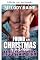 Livro Encontrada no Natal pelo homem da montanha possessivo (Snowberry Falls: Resgate de Natal Livro 3)