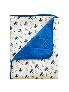 Cool Rayon Blanket - Mint Color, Twin Size 63"x83" | eBay