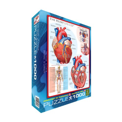 EuroGraphics Human Body (The Heart) Puzzle (1000-Piece)