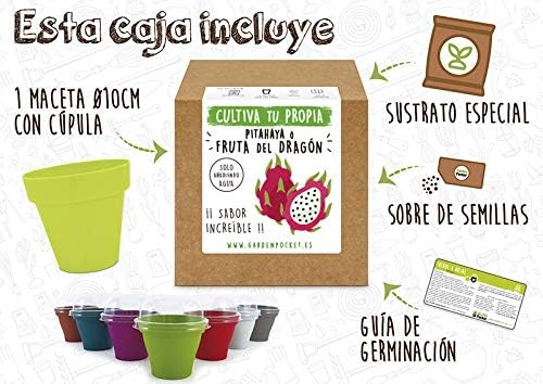 Garden Pocket - Kit Cultivo Pithaya: Amazon.es: Jardín