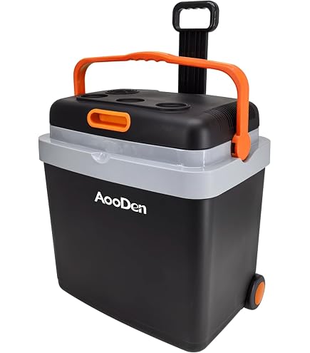 Amazon.com: AooDen Electric Car Cooler and Warmer, 26 Quart