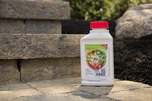 2 Roundup+Grass+Killer+Concentrate+16+Ounce