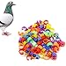 HeroNeo 100X 8mm Hen Pigeon Leg Poultry Dove Bird Chicks Parrot Clip Rings Band