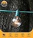 25 Foot G40 Globe String Lights With Bulbs – Green Wire – By Austin Light Co. - UL Listed. Indoor and Outdoor. Great for patios, cafés, parties, homes, bistros, weddings, backyards
