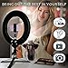 LED Ring Light with Stand, Table Top Halo Light Ring, Live Video Lighting Kit Bi-Color Dimmable CRI 90+ Adjustable w/Phone Holder, YouTube Studio Makeup (14 Inch)