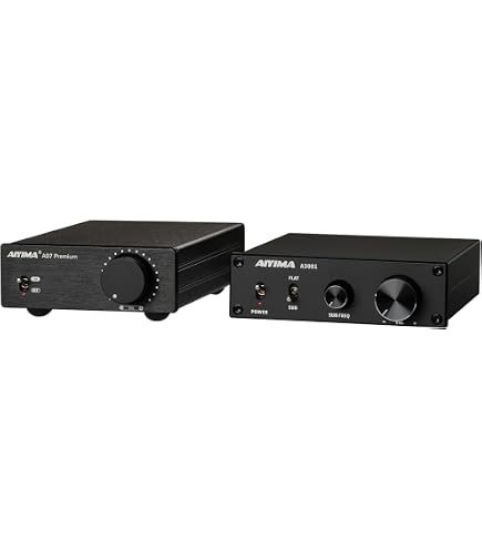 Amazon.com: AIYIMA A07 300Wx2 TPA3255 mini Stereo amplififer and