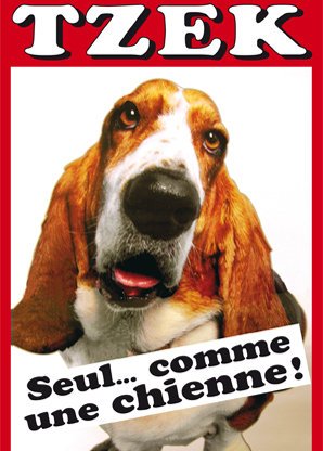 Seul ...Comme Une Chienne !
