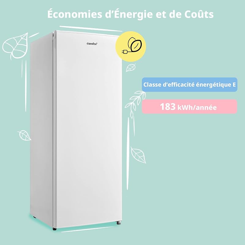' 160L Congélateur Armoire, Réglage de la température, Blanc
