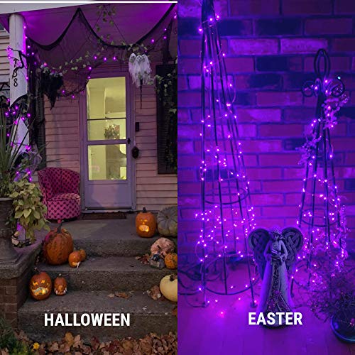 iiEASEST Purple Led Fairy String Lights Halloween Christmas, 100 LED 33