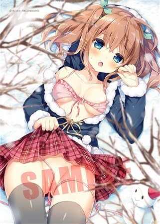 Amazon メロンブックス 冬の陣 除夜 成人向け R18 描き下ろし ブランケット イラスト すいみゃ アニメ 萌えグッズ 通販