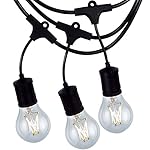 Archipelago Lighting 48-Foot LED Outdoor Weatherproof String Lights - Includes 15 LED Non-Dimmable A17 Bulbs + 1 Free Spare Bulb - Warm White 2700K - 200 Lumens - 2W/120V