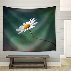 Daisy or Camomile Isolated Nature Background - Fabric Wall Tapestry Home Decor - 51x60 inches
