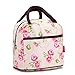 Chrysansmile Waterproof Picnic Lunch Bag Tote Insulated Cooler Travel Zipper Organizer Box