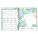 AT-A-GLANCE Weekly / Monthly Planner / Appointment Book 2017, 8-1/2 x 11