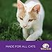 Wellness Divine Duos Grain Free Chicken & Salmon Natural Wet Cat Food, 2.8-Ounce Cup