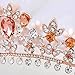 Tgirls Baroque Bridal Wedding Crowns and Tiaras Bride Princess Flower Rhinestone Headband Jewelry for Women and Girls (Rose Gold)