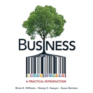 Business: A Practical Introduction