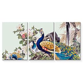 Canvas Wall Art Abstract Vintage Peacock Painting Artwork for Home Prints Framed - 16"x24" x 3 Panels