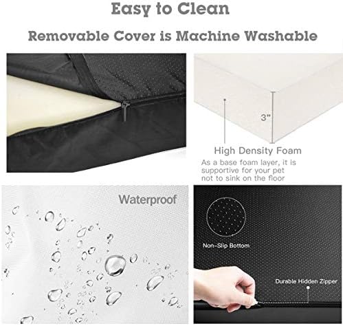 Logix City Center Sector 32 Noida