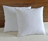 downluxe 95% Feather 5% Down,100% Cotton Fabric, 18