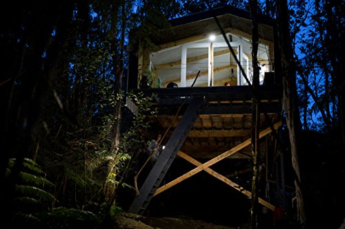 BioLite SolarHome 620 Portable Off-Grid Solar Lighting System