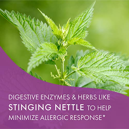 AllerFree Natural Allergy Support Supplement by Pure Essence Labs Non