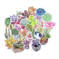 70 Pieces Cute Cactus Succulent Plants Designs Waterproof Stickers for Laptop, Luggage, Junk Bullet Journal, Scrapbook Craft, Water Bottles, Botanical Project