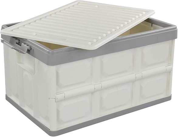 Bblie Caja Plegable con Tapa, Caja de Almacenamiento de Plástico: Amazon.es: Hogar