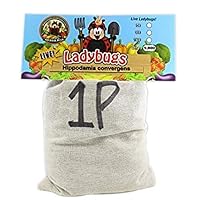9,000 Live Ladybugs & Ladybug Life Cycle Poster - Ladybugs Are Guaranteed Live Delivery!