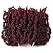 3 Packs Short Curly Spring Pre-twisted Braids Synthetic Crochet Hair Extensions 10 inch 15 strands/pack Ombre Crochet Twist Braids Fiber Fluffy Curly Twist Braiding Hair Bulk (pack of 3), T1B/BUG#