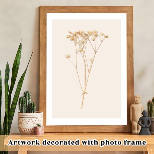 100 Pieces Dried Flowers, Natural Dried Flowers, Fade Resistant, Mini Dried Gypsophila for Botanical Specimens, Photo Frames, Nail Art (Champagne)