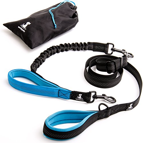 SparklyPets FLASH SALE | Adjustable Leash and 3 in 1 Shock-Absorbing Bungee Extension Set – Heavy Duty Dog Leash for Medium and Large Breeds Made from Durable Nylon – Reduces Pulling Shocks - Blue