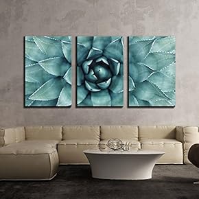 Sharp Agave Succulent 2 - 3 Panel Canvas Art