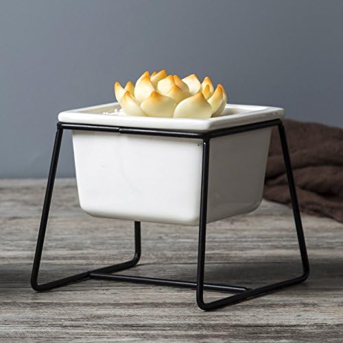 1set Planter Pots Indoor,4.52 inch Modern Plants and Planters Garden White Ceramic Round Bowl Large Planter with Metal Stand for Succulent Planter Cactus.