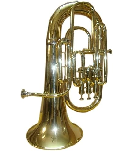 Amazon.com: KING Euphonium, Yellow Brass (2280) : Musical