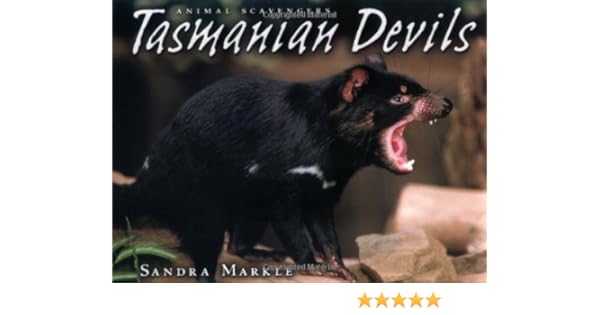 Watch Tasmanian Devils Online Tasmanian Devils Full Movie Online Watch Tasmanian Devils Online Tasmanian Devils Full Movie Online