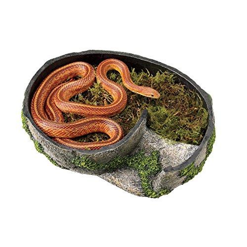 Zilla Rock Lair Medium - Image 2