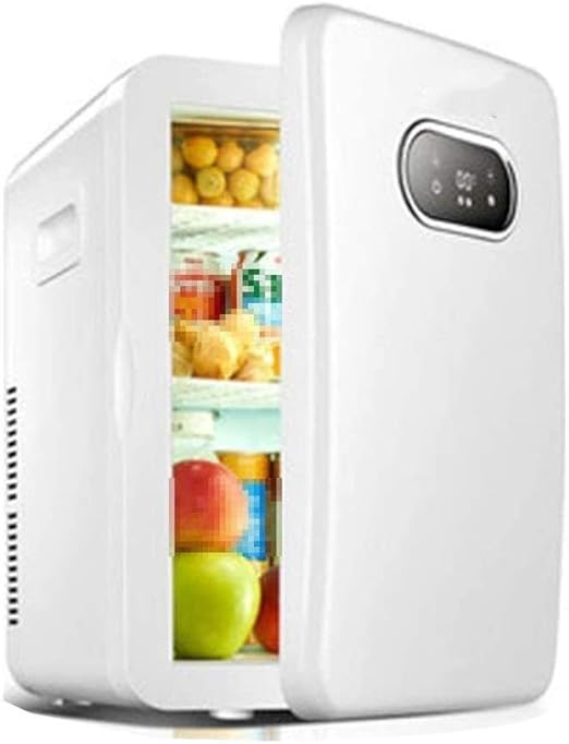 small refrigerator for car