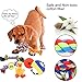 Dog Rope Toys ,ASIJIA 9pcs Dog Rope Toys, Puppy Chew Rope Toys for Small Dogs
