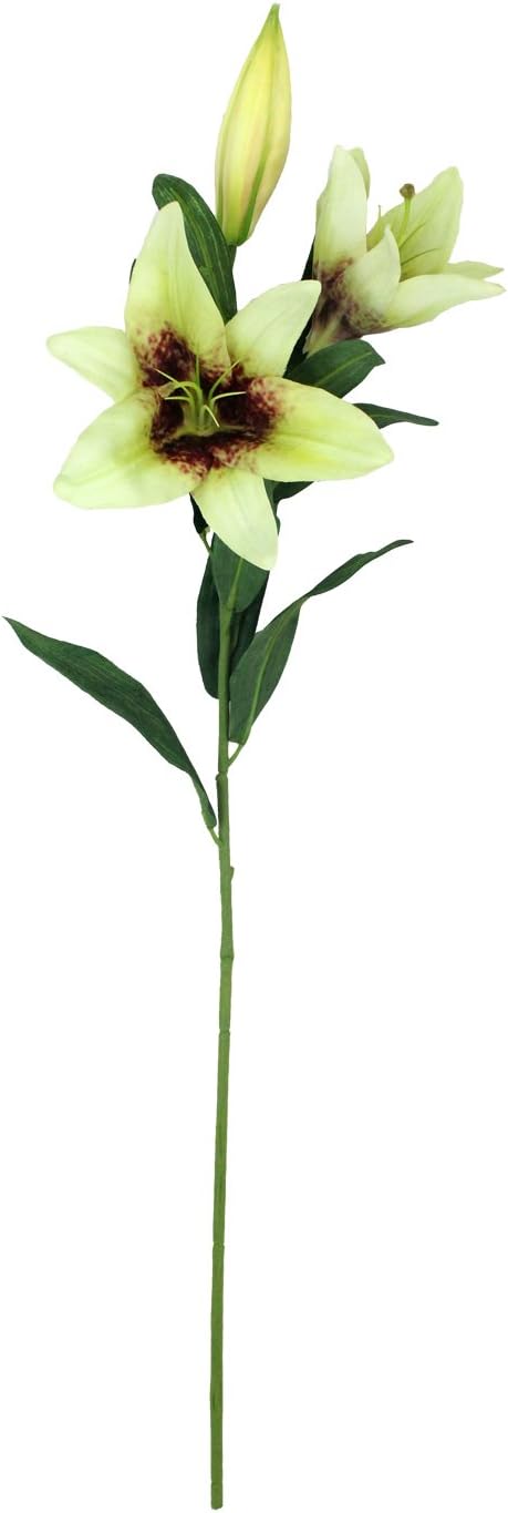 Amazon Co Jp ユーロタイガーリリー Fxfl0006gr ホーム キッチン