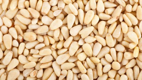 Pine Nuts (Pignolias) 10 Lb Bulk Bag
