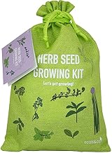 Scott&Co Herbs Seed Kit 10 Varieties Basil Coriander Chives Mint Oregano view 5