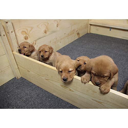 Drymate Washable Pee Pads for Dogs, Reusable Puppy Pads, Absorbent